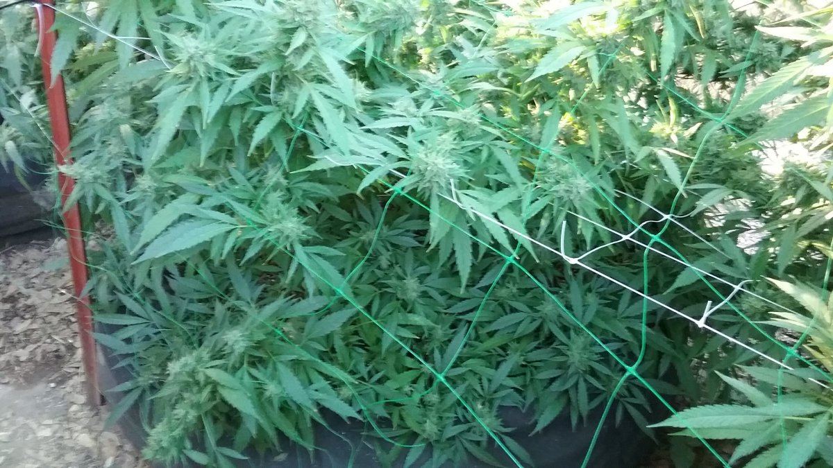 20171005 080703