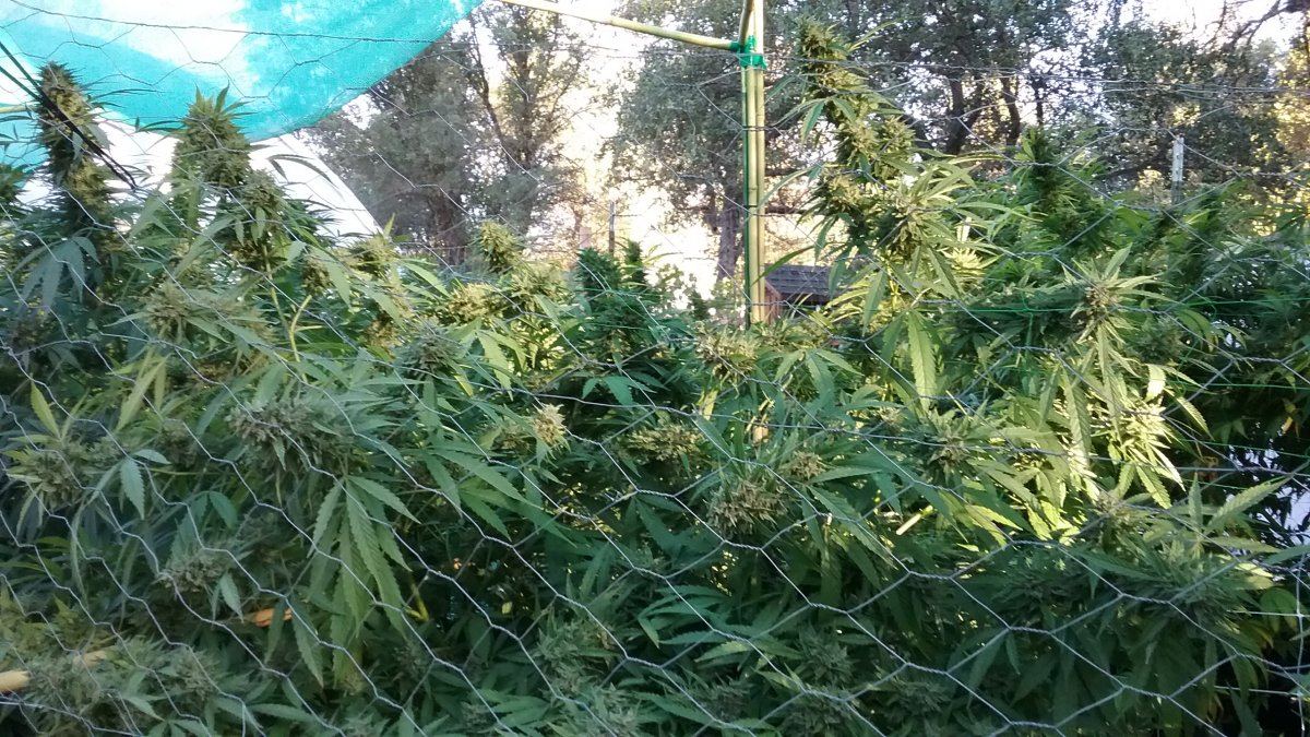 20171005 080835