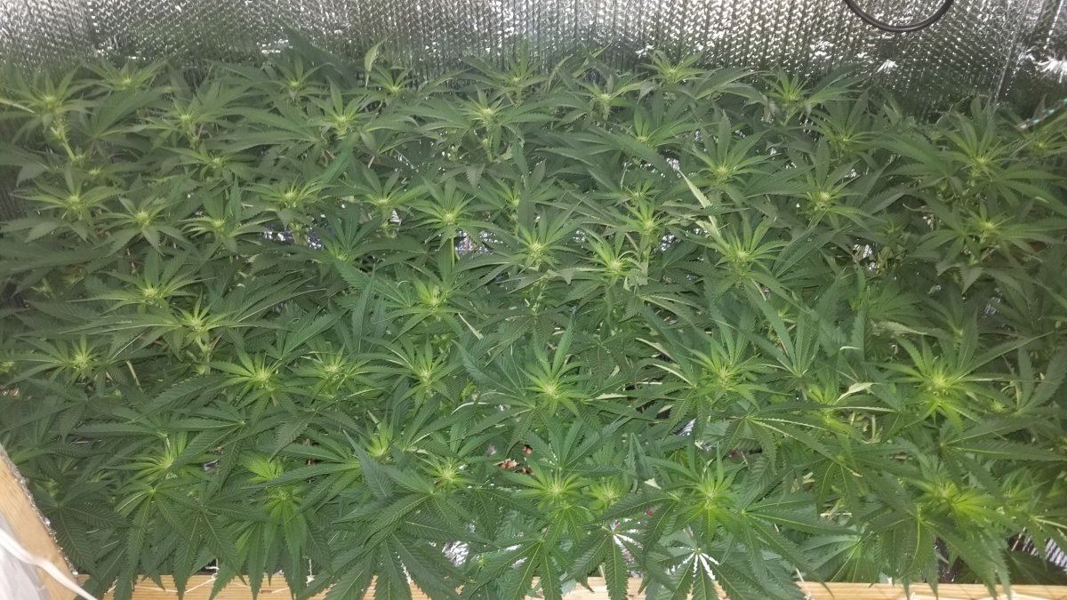 20171006 225442