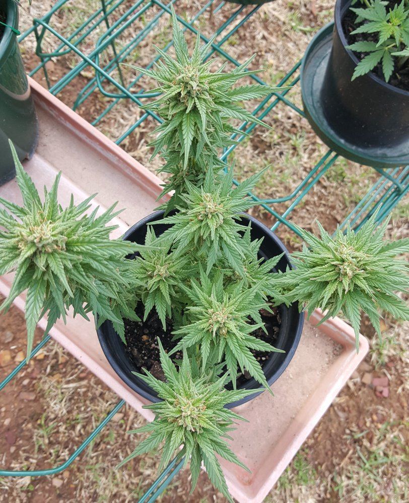 20171007 154625