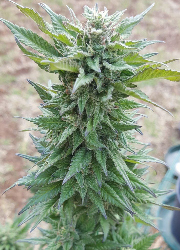 20171007 155042