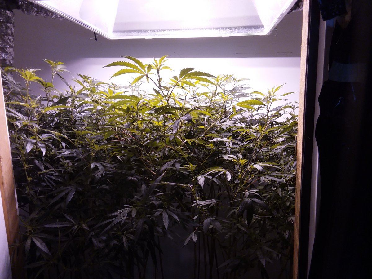 20171009 224108