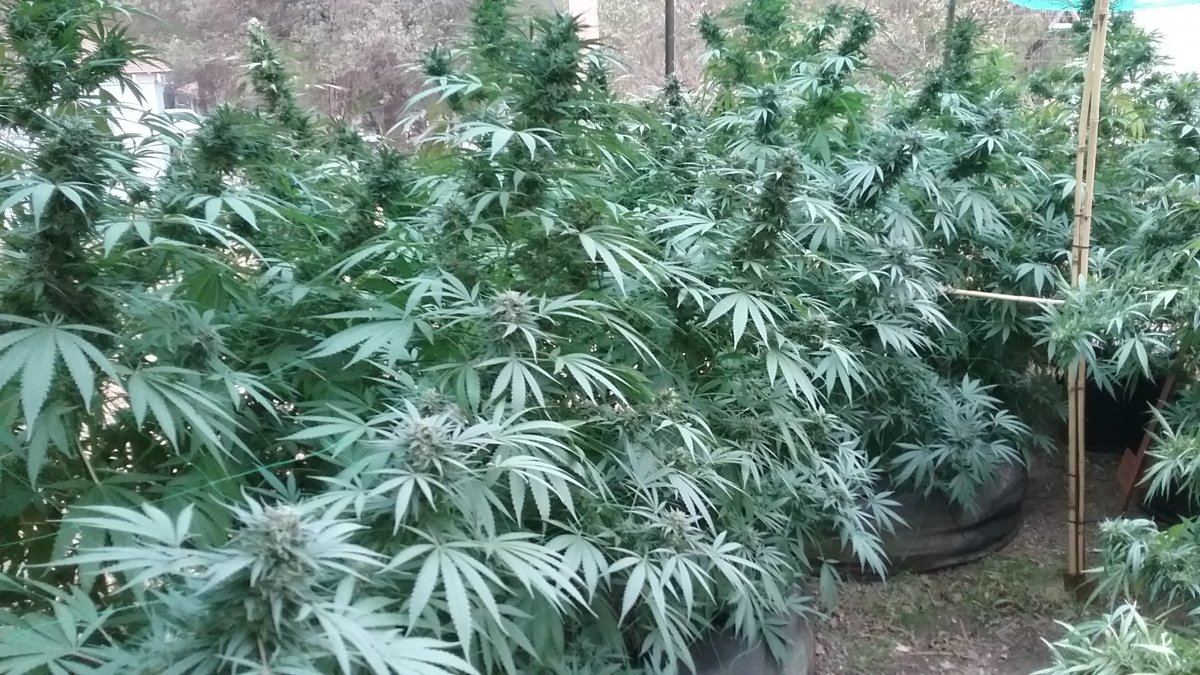 20171011 072448