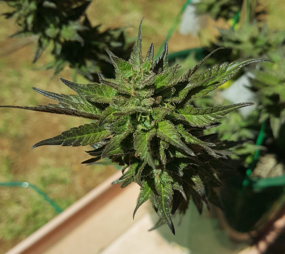 20171011 093839