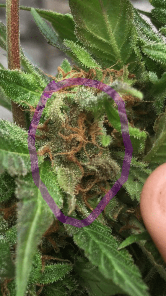 20171011 132918