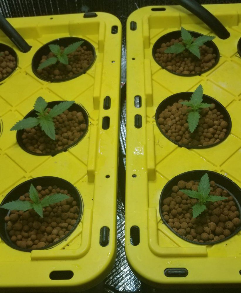 20171011 150448