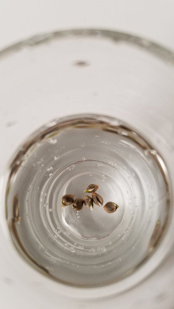 20171011 235305