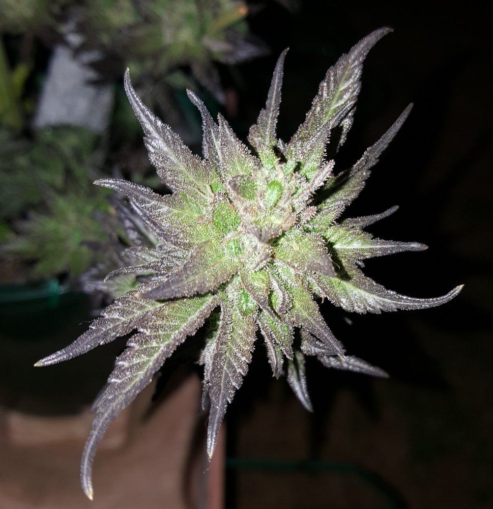 20171013 183910