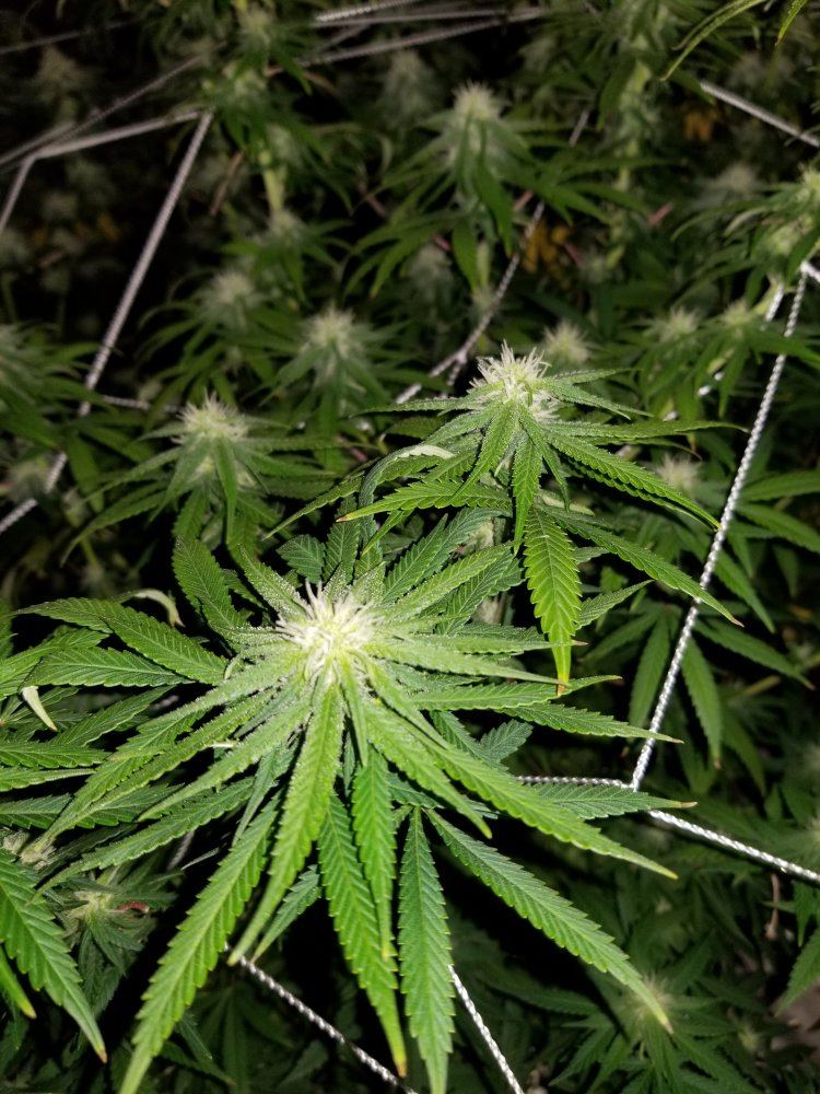 20171015 180557
