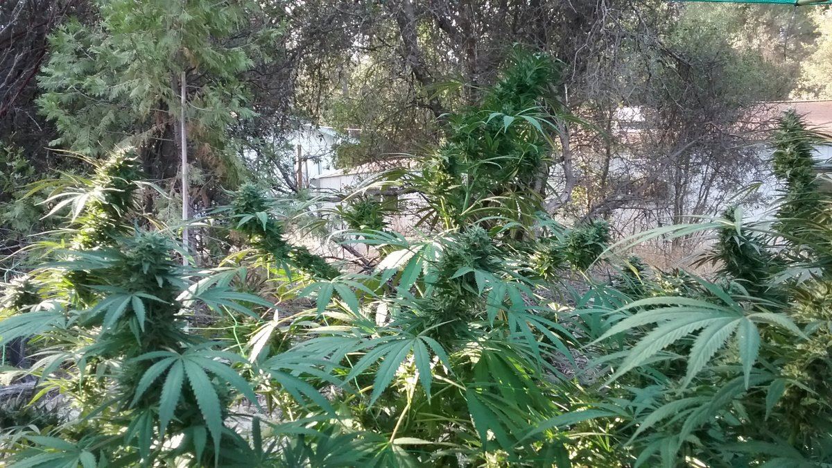 20171016 084001