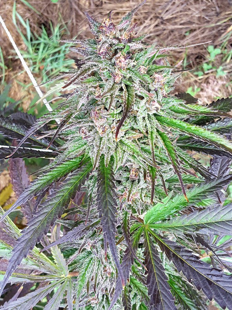 20171017 161654