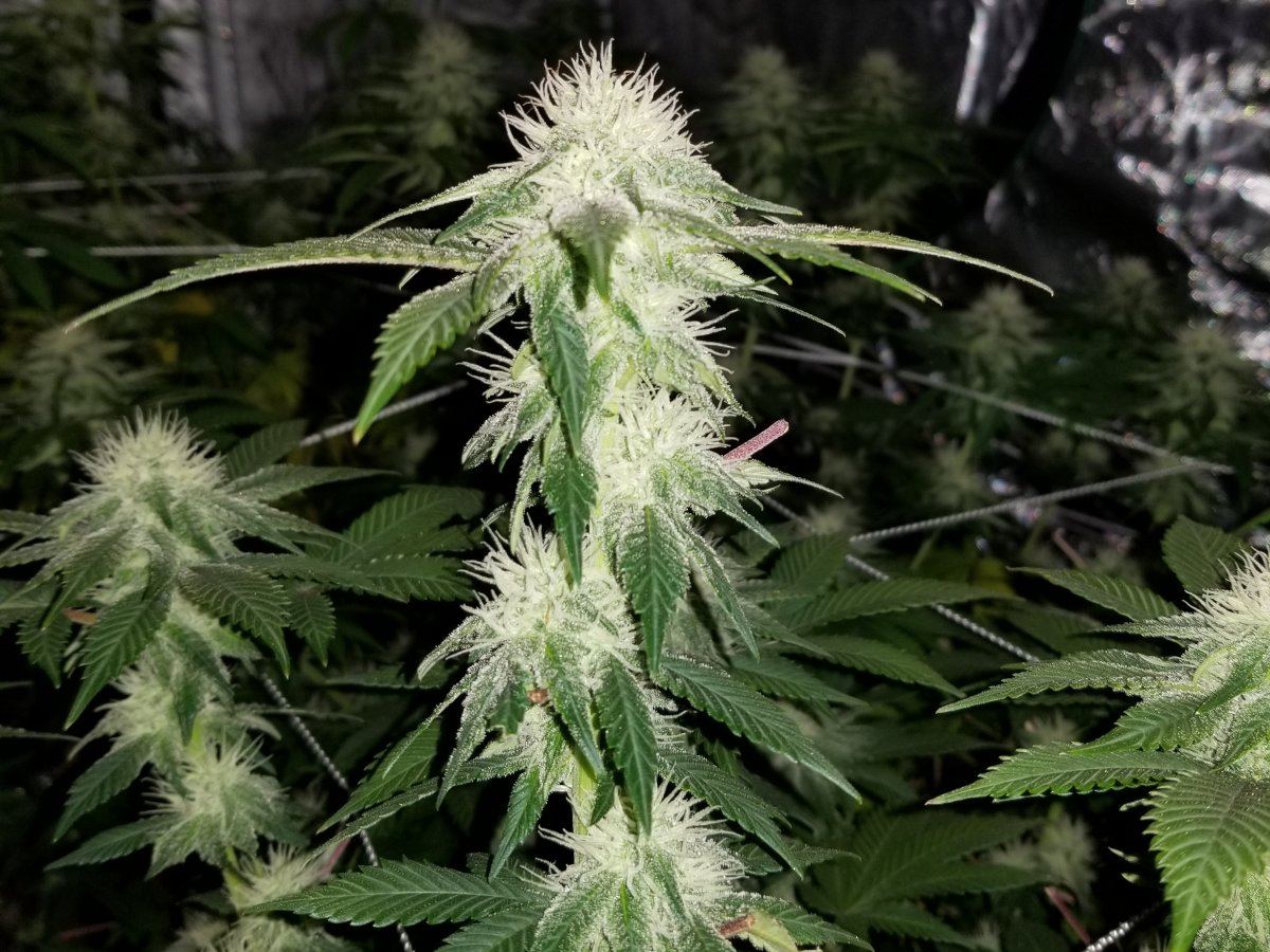 20171018 104049
