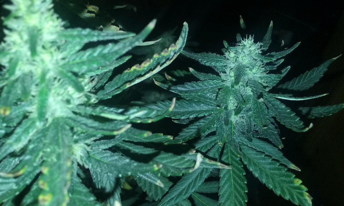 20171019 171824