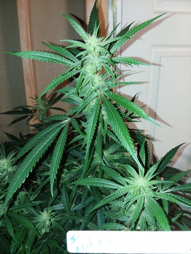 20171022 053554