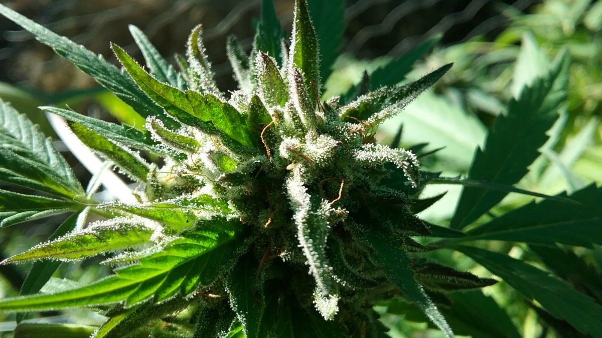 20171022 105519