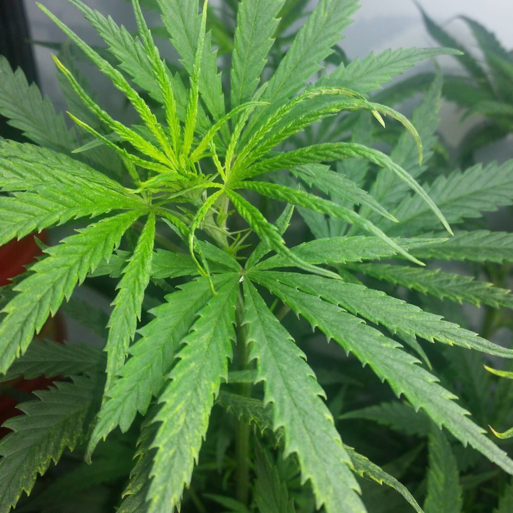 20171027 1154361