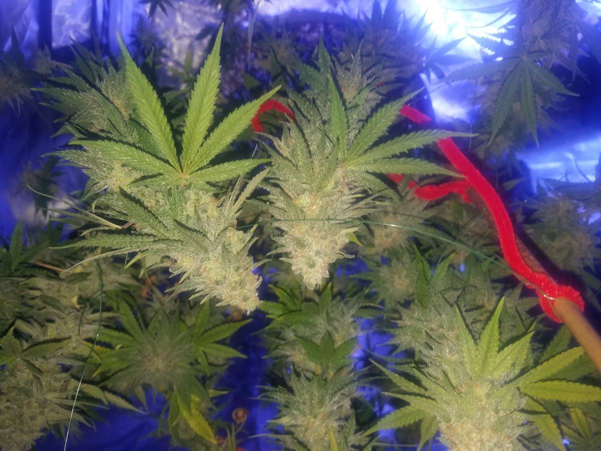 20171031 015104
