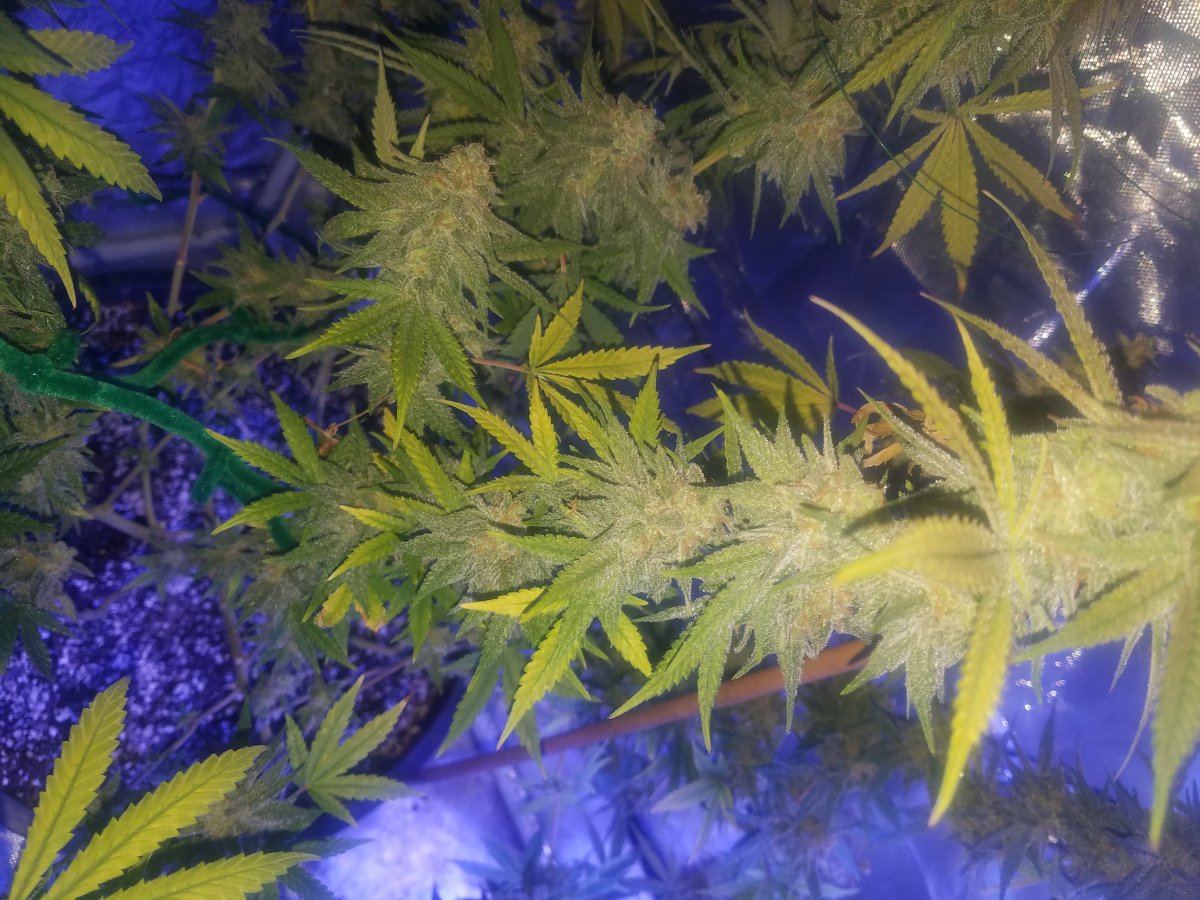 20171031 015210