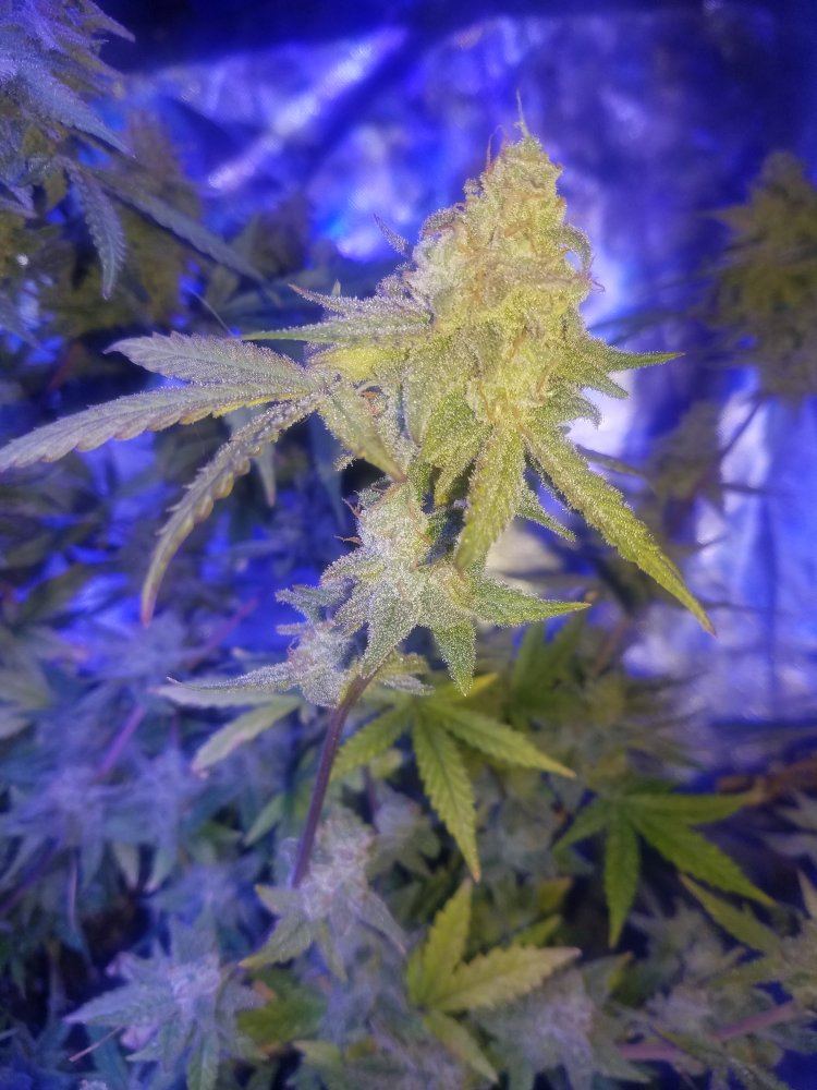 20171102 023304