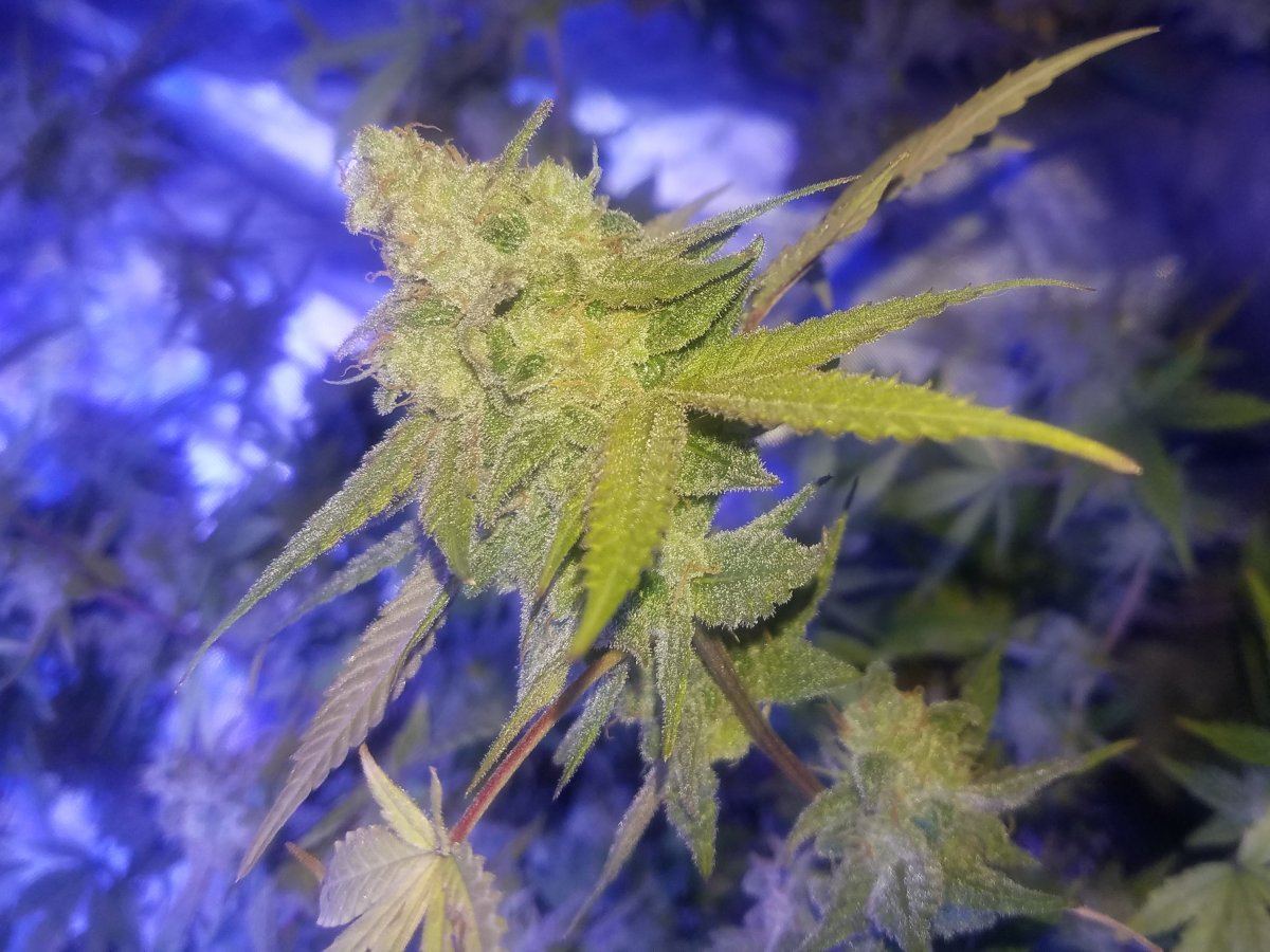 20171102 023317 2