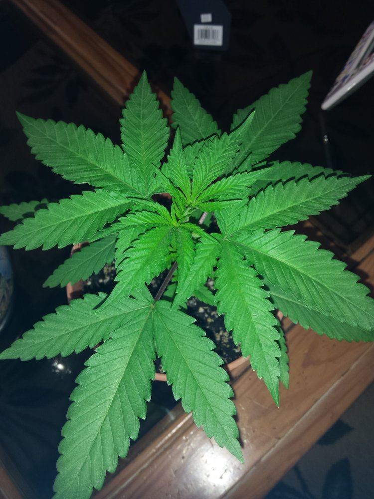 20171102 135931