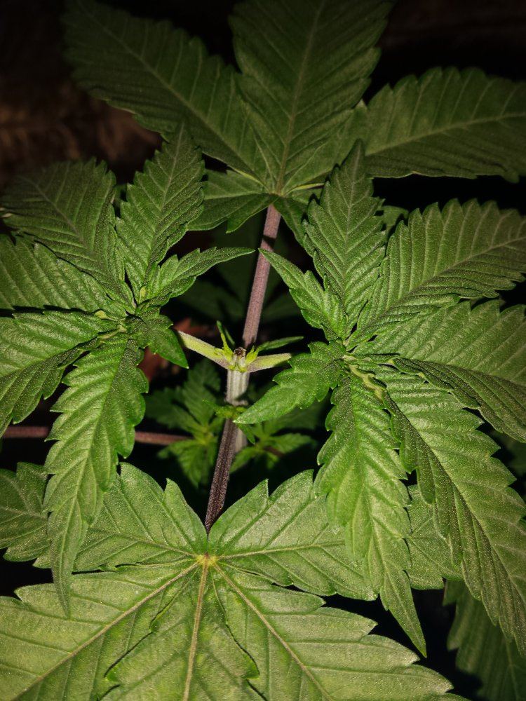 20171104 165629