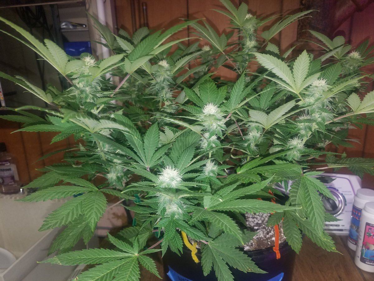 20171106 234114