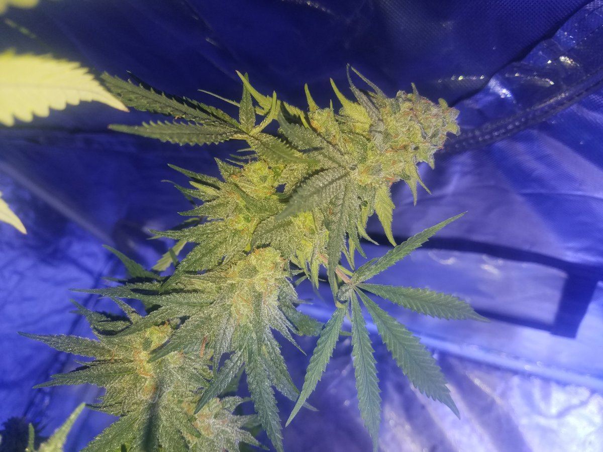 20171106 234814