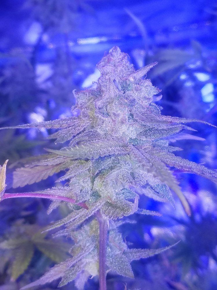 20171109 021405