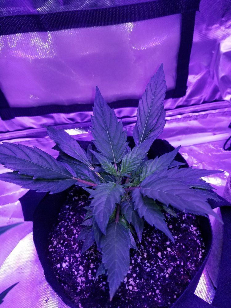 20171109 172358