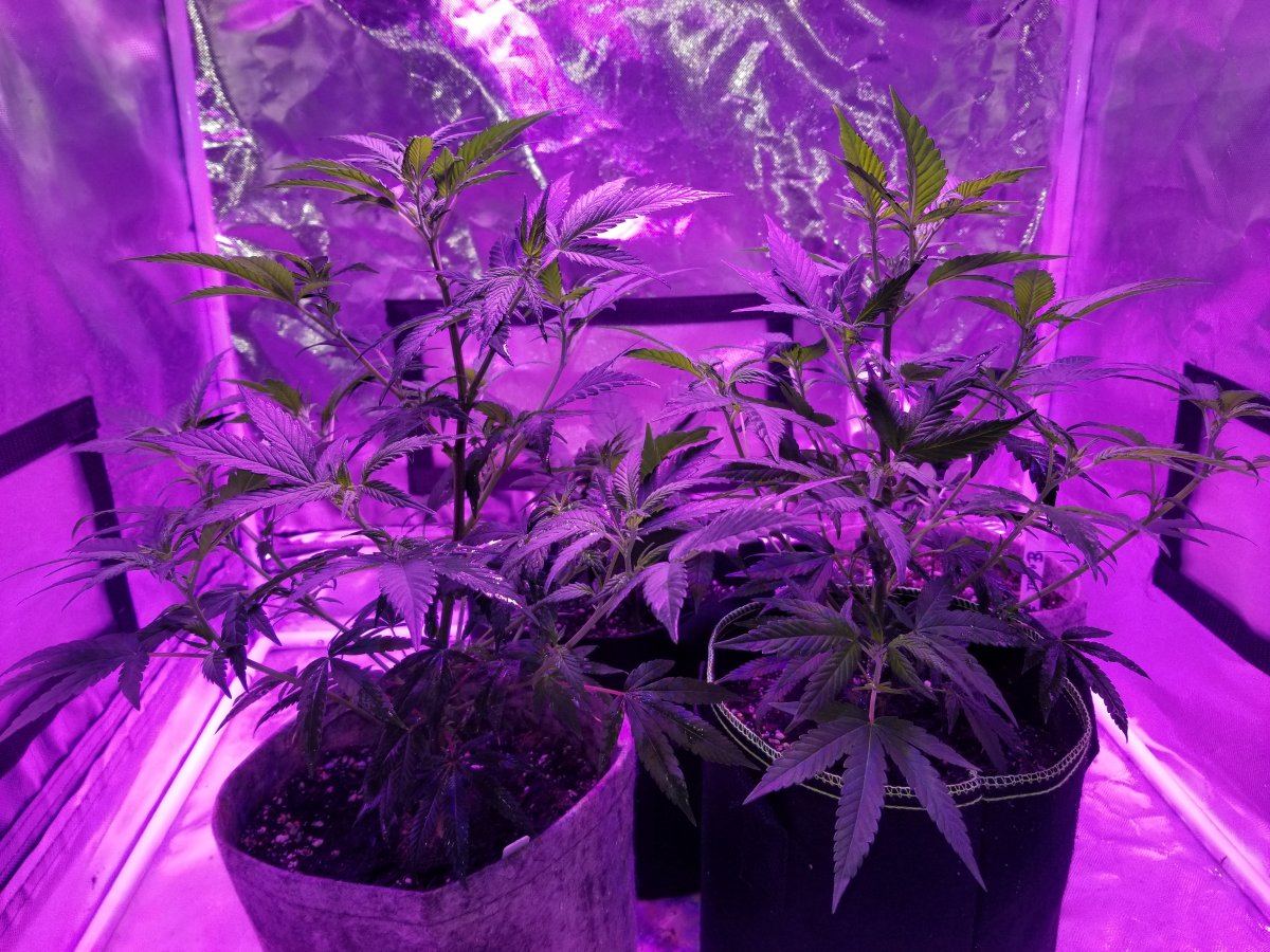 20171109 173008