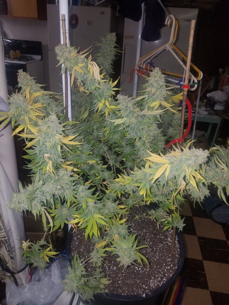 20171112 023915