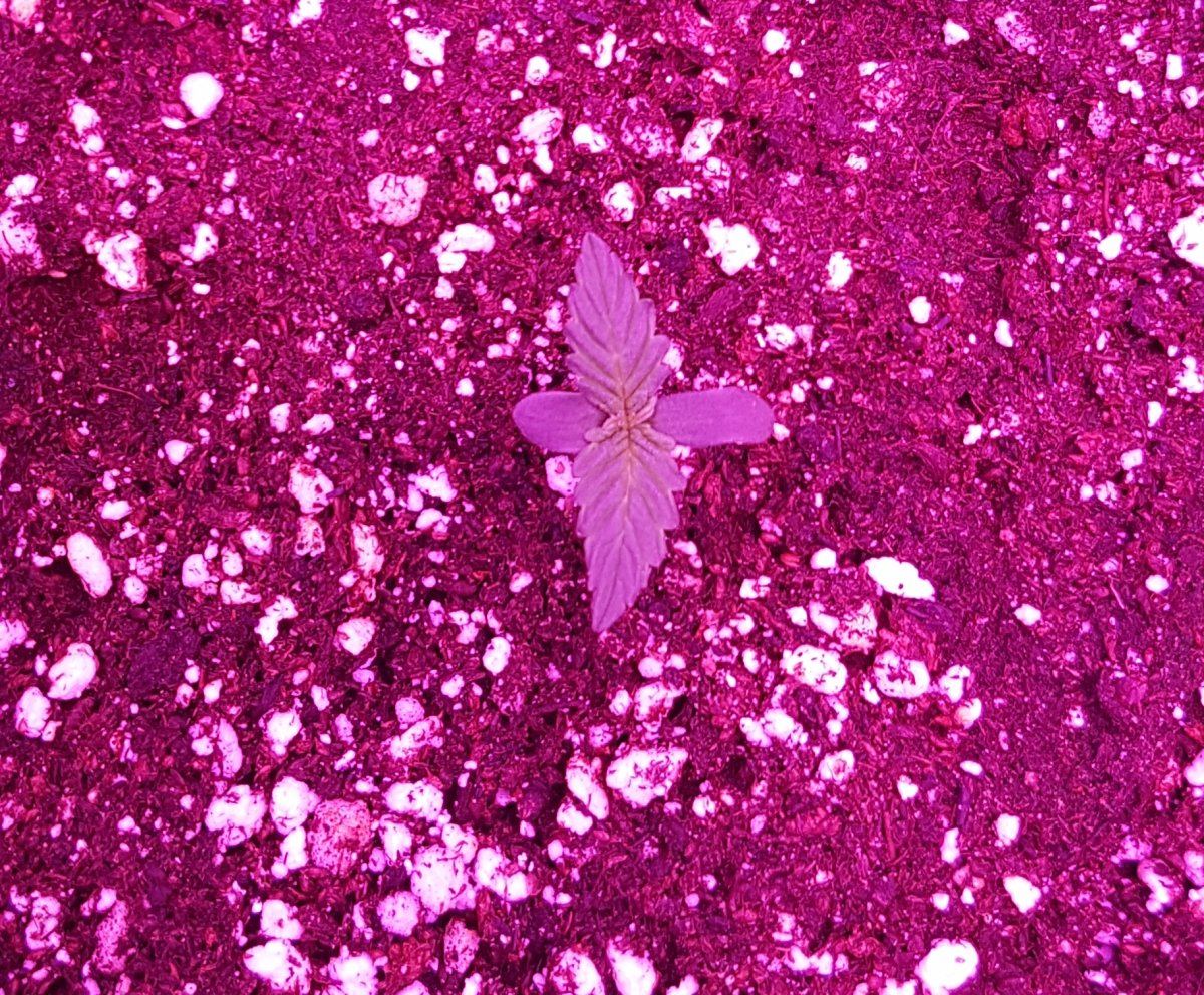 20171119 163518