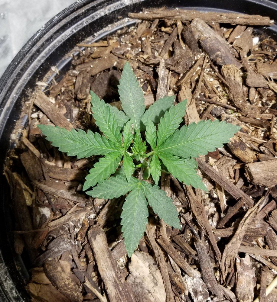 20171122 112142