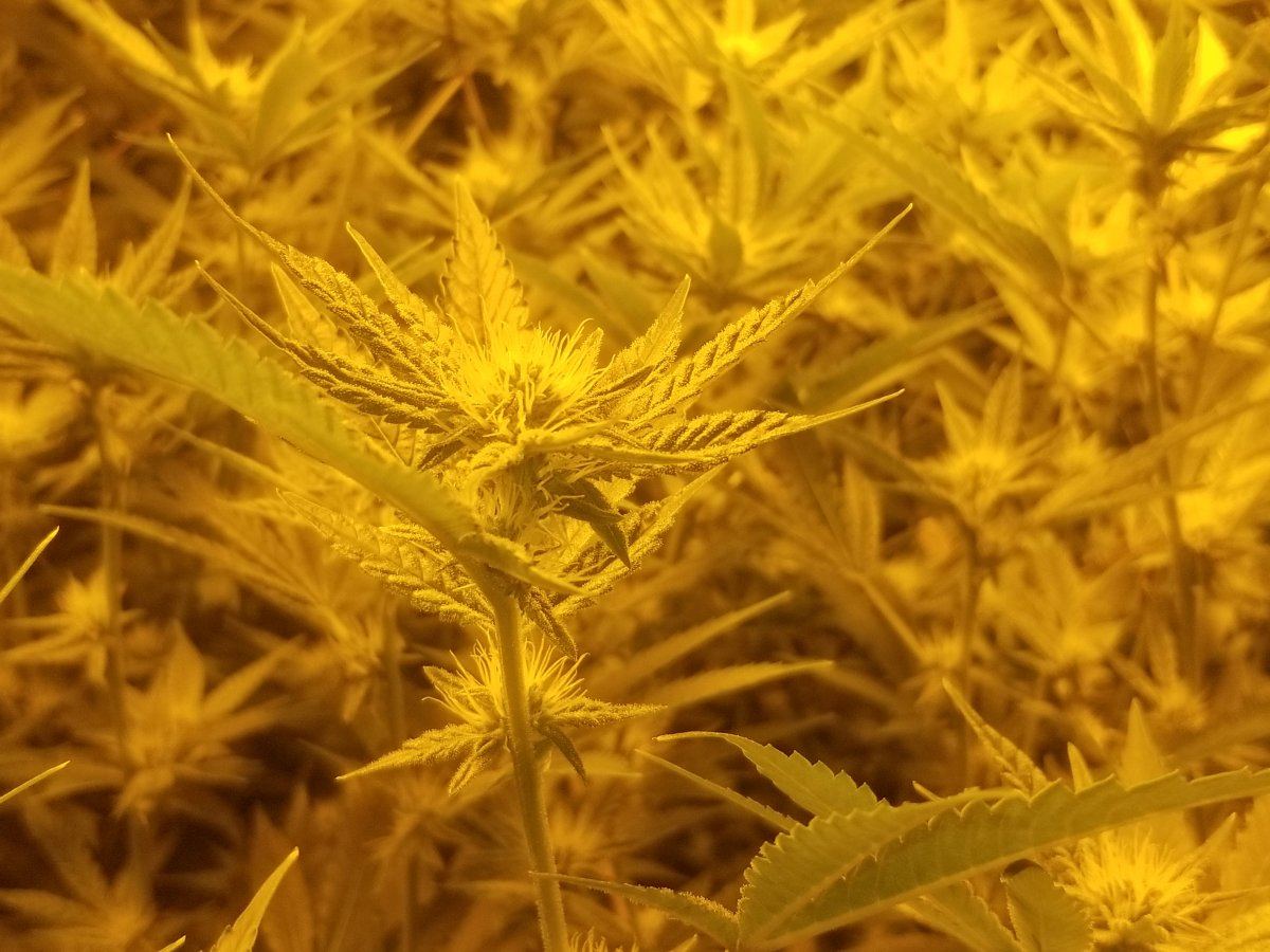 20171125 182114