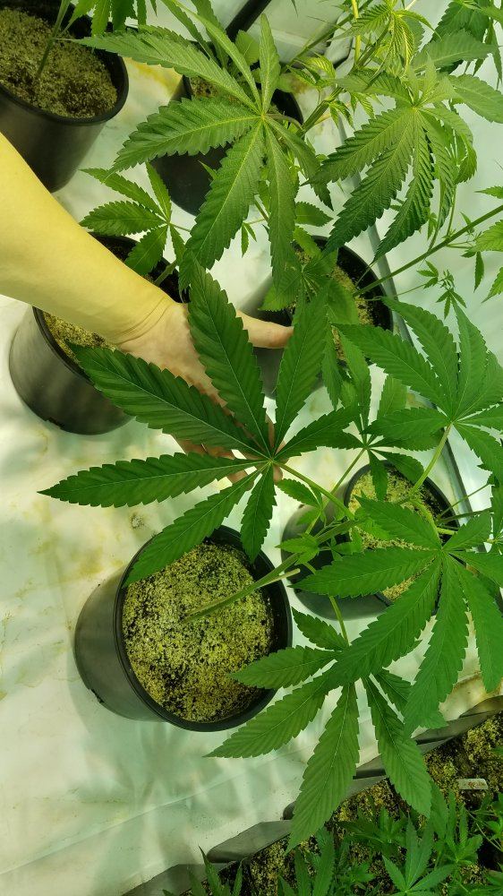 20171128 031901