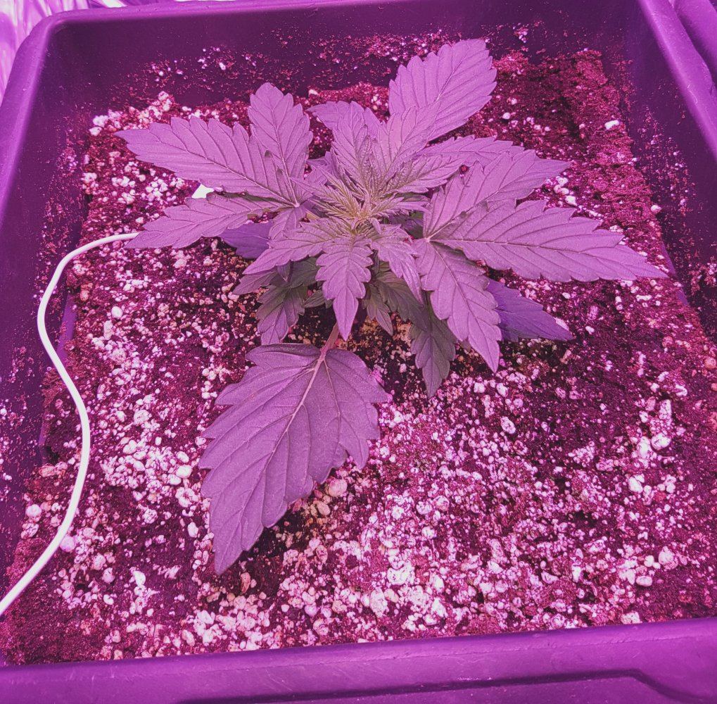 20171129 160528