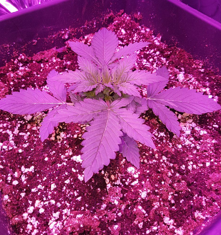 20171129 160631