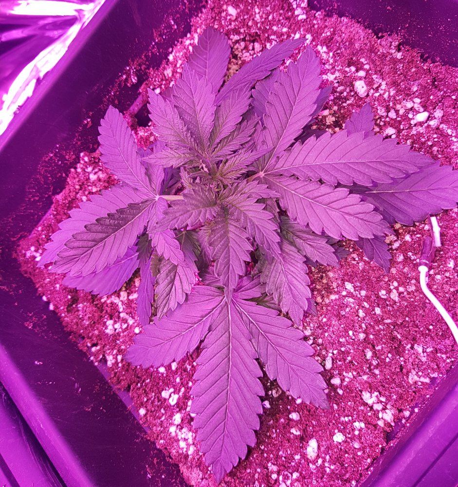 20171202 171920