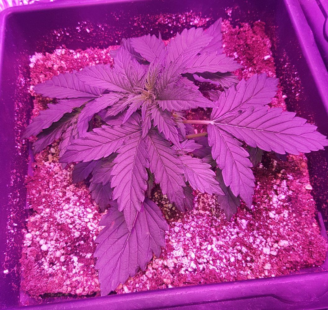 20171202 172003