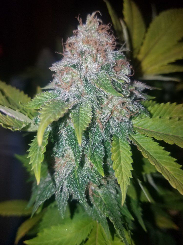 20171210 021553