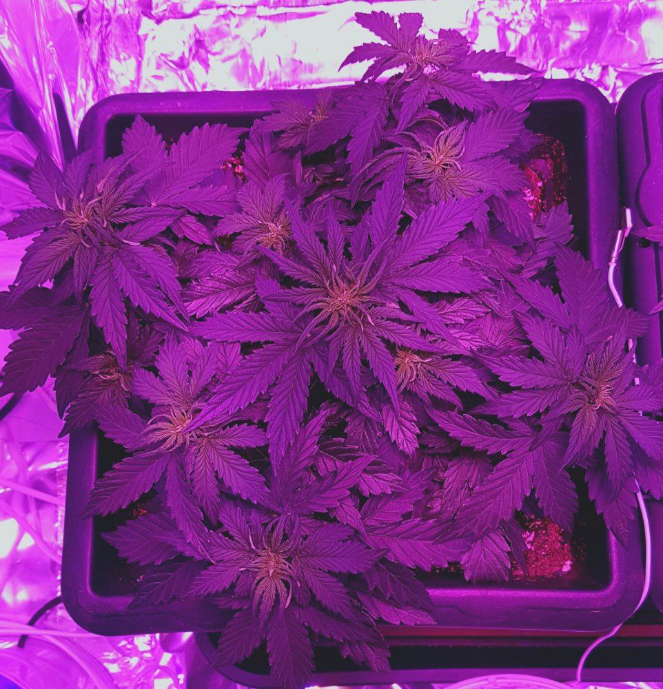20171210 132400