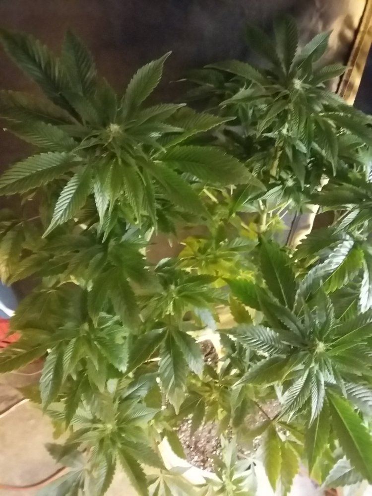 20171219 175552