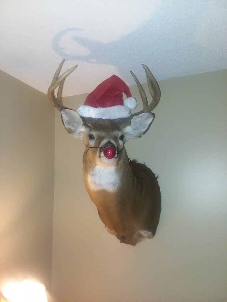 20171225 201411