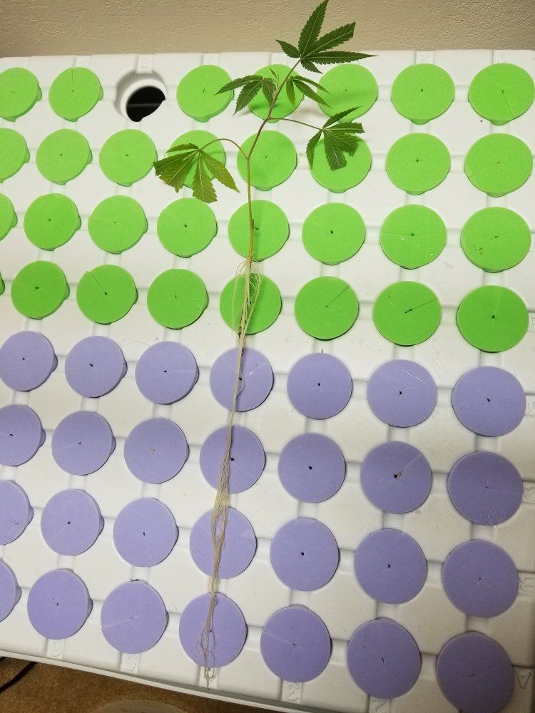 20171226 160111