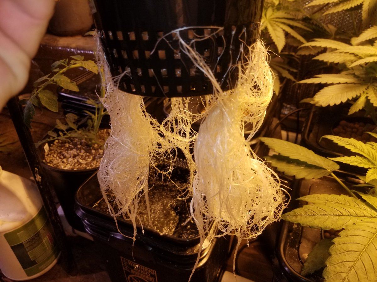 20171229 235618