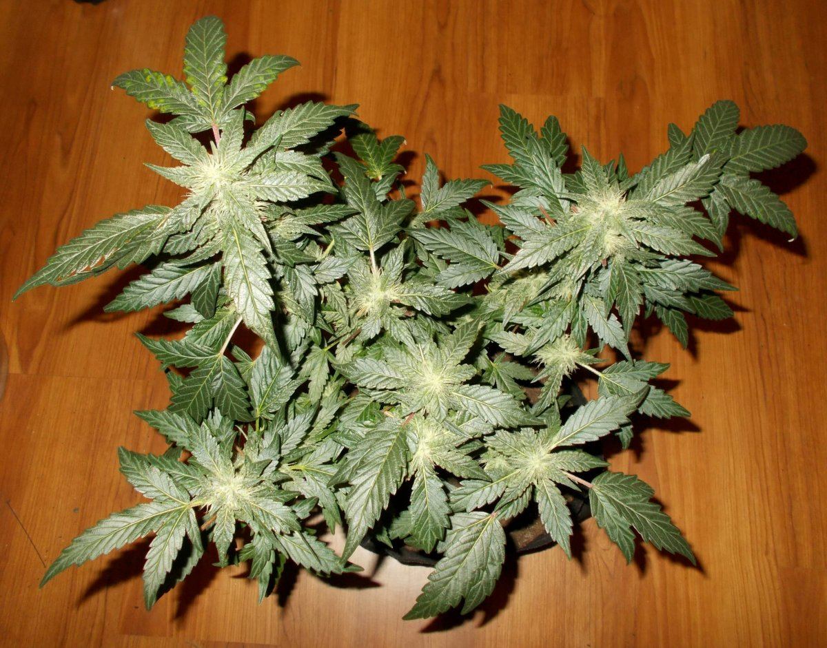 2018 01 03 150133