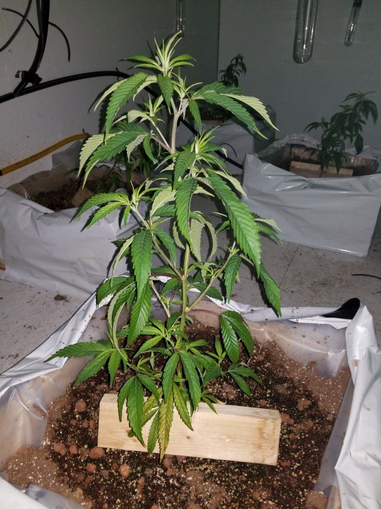 20180103 121254