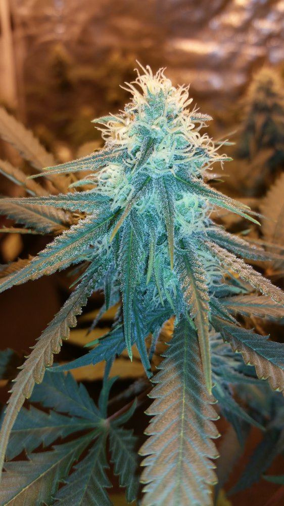 20180104 153633