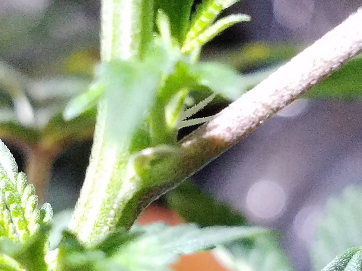 20180106 222707